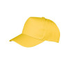 RC084 Boston 5 Panel Printers Cap